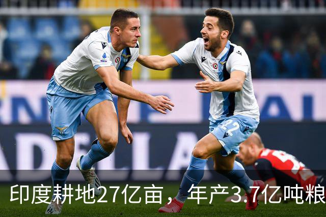 印度耕地27亿亩，年产3.7亿吨粮食，我国耕地19.18亿亩，年产多少